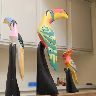 Tropical Birds