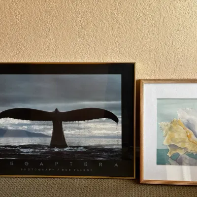 Sea Themed Art 
