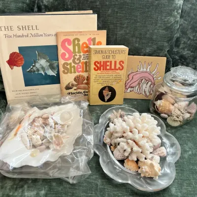 Seashell Collection And Books