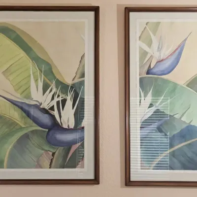 Artist Signed White Bird of Paradise Framed Watercolor 