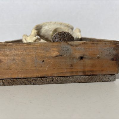 Sale Photo Thumbnail #59
