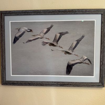 Sale Photo Thumbnail #565