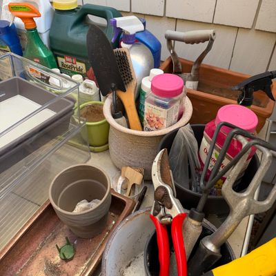 Sale Photo Thumbnail #732