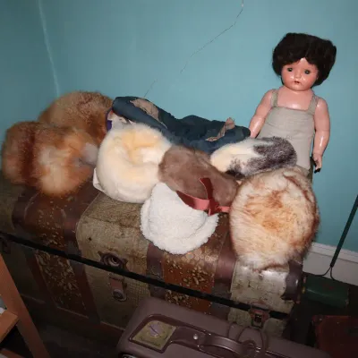 Sale Photo Thumbnail #66: Vintage collection of real and faux fur hats displayed on an antique dome-top trunk alongside a vintage composition doll.
