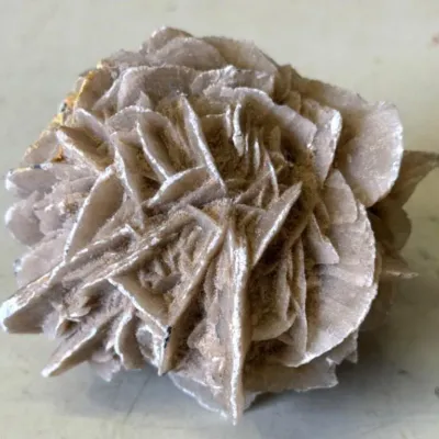 Sale Photo Thumbnail #393: Lot 494: Desert Rose Gypsum Sand Rose Selenite Crystal Cluster Mineral Specimen