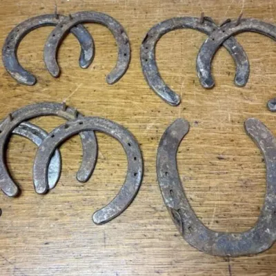 Sale Photo Thumbnail #632: Lot 736: Horseshoes
