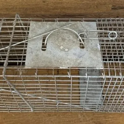 Sale Photo Thumbnail #133: Lot 204: Live animal trap 32x13x10