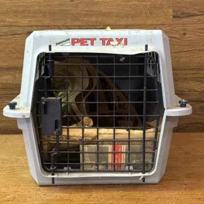 Sale Photo Thumbnail #156: Lot 227: Small pet carrier