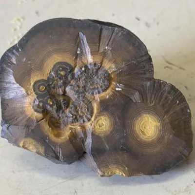 Sale Photo Thumbnail #392: Lot 493: Septarian Nodule Slice Dragon Stone Calcite Eyes Natural Mineral Display Slab