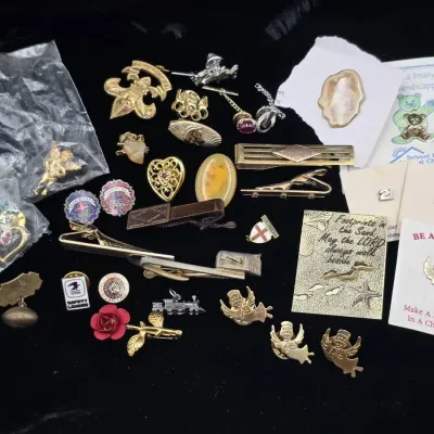 Assorted Lapel Pins and Collectible Pins