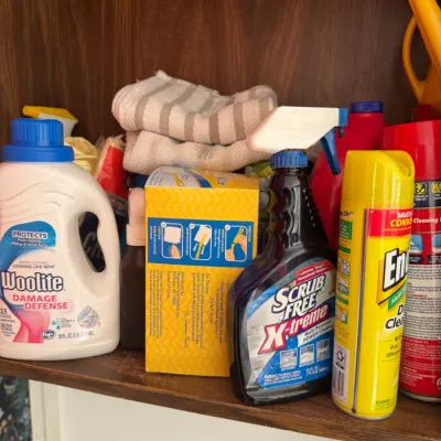 Sale Photo Thumbnail #211: Assortment of household cleaning supplies on a wooden cabinet shelf, including Woolite detergent, Scrub Free spray, and Endust cleaner.