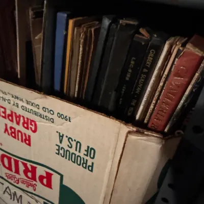 Sale Photo Thumbnail #86: Cardboard produce box packed with vintage vinyl LP record albums, including classical and opera titles.