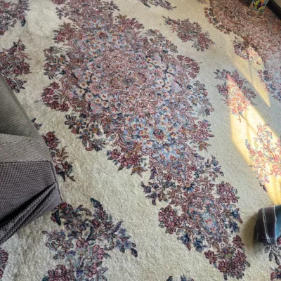 Sale Photo Thumbnail #280: Large Persian-style area rug featuring a central floral medallion and intricate sprays in shades of pink, blue, and burgundy on an ivory field.
