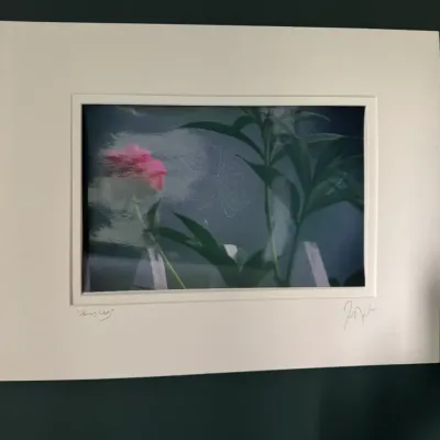 Sale Photo Thumbnail #273: Matted art print featuring a garden scene with a pink flower, spiderweb, and greenery, signed and titled by the artist on the lower margin.