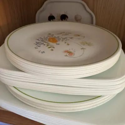 Sale Photo Thumbnail #260: Stack of vintage Corelle dinnerware featuring a floral pattern with green rim accents, displayed inside a wooden cabinet.