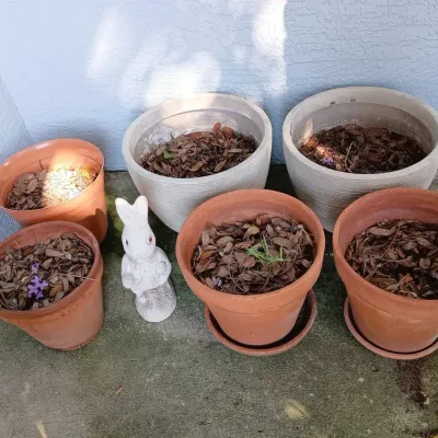6 Garden Pots- Clay, Plastic, Bunny Figure