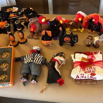 Fall/Halloween Decor - Beanie Babies, Lights, Salt & Pepper Shakers