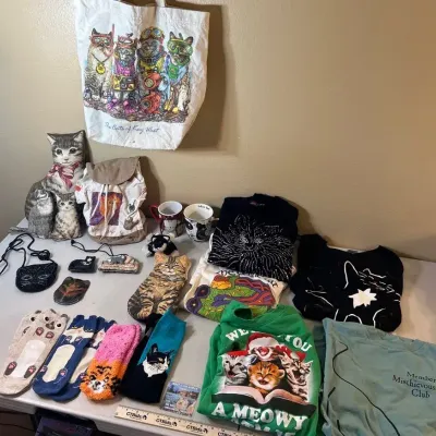 Cat Lovers Lot - Socks, Shirts, Bags & Pillows+