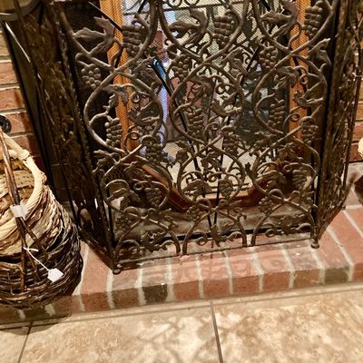Sale Photo Thumbnail #223: Heavy metal fire screen in front with a another screen behind it