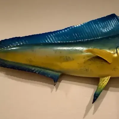 Mahi Mahi (Bull Dolphin) Replica Mount