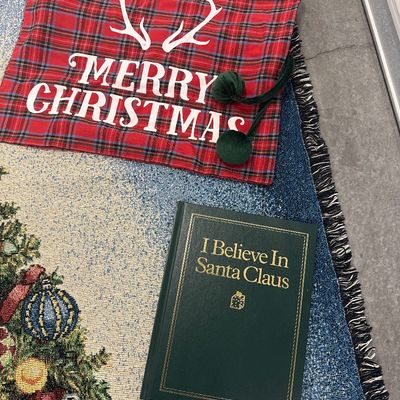 Sale Photo Thumbnail #174: 11 piece Christmas set for throw blankets one new hand towel three books one reindeer ornament one merry Christmas bag one wine stopper. All in perfect condition blankets measure approximately. 1 72x57 and 3 at 65x44.