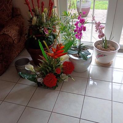 Sale Photo Thumbnail #5: Decorative pots with artificial decorative plants from
$20-$50 each
