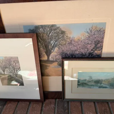Sale Photo Thumbnail #112