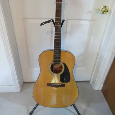 Sale Photo Thumbnail #121: Fender acoustic guitar with a natural finish top and black pickguard, displayed on a black folding guitar stand.