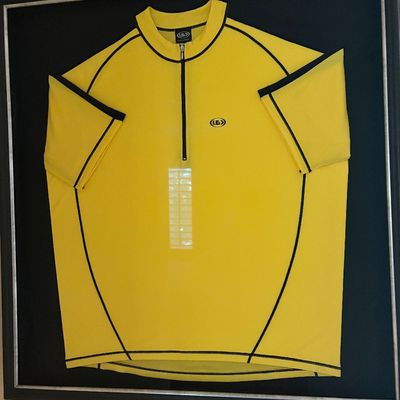 Cyle shirt frame