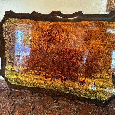 Sale Photo Thumbnail #131