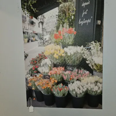 Sale Photo Thumbnail #43: Unframed wall art print featuring a street-side Parisian florist shop with vibrant tulip bouquets.