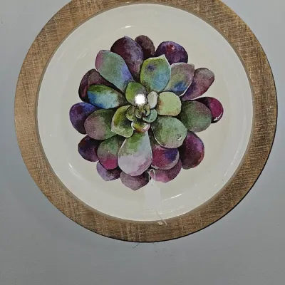 Sale Photo Thumbnail #49: Round decorative tray featuring a colorful succulent watercolor illustration, complete with a natural wood-grain outer rim.