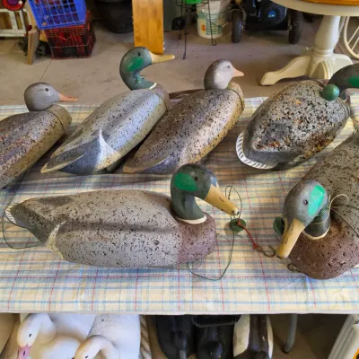 Sale Photo Thumbnail #110: Collection of vintage LL Bean cork and wood duck decoys, hand-painted finishes and original rigging. Large. 
