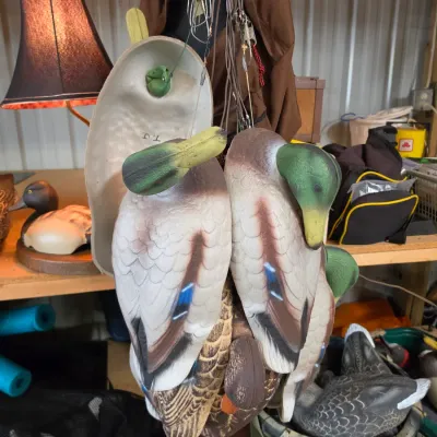 Sale Photo Thumbnail #57