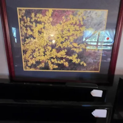 Sale Photo Thumbnail #35