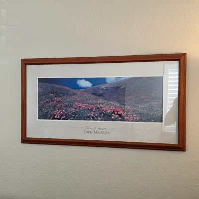 Sale Photo Thumbnail #47: Thomas D. Mangelsen “Tapis Magique” framed panoramic floral landscape photographic print.