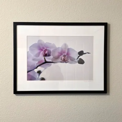 Sale Photo Thumbnail #197