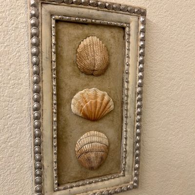Sale Photo Thumbnail #67: Framed coastal wall art piece featuring three mounted seashell specimens set within a beaded, distressed cream-colored frame.