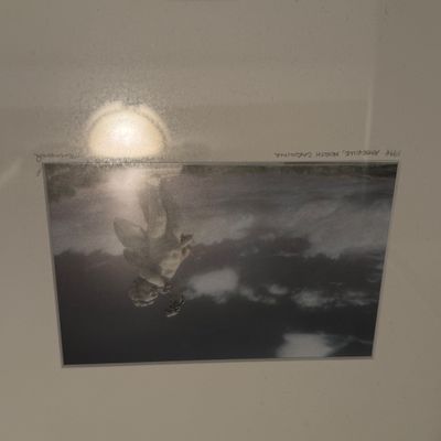 Sale Photo Thumbnail #53