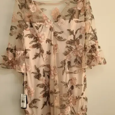 Adrianna Papell Floral Emroidery Sheath Dress