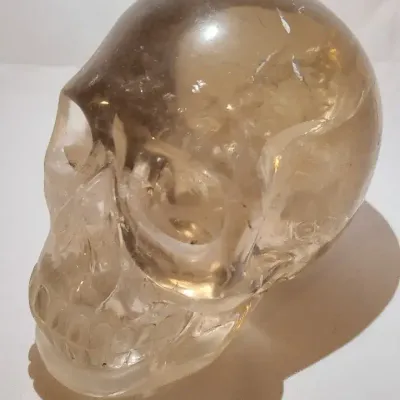 A Head of Its Time – Translucent Skull Decorative Accent
