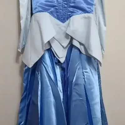 Custom Made Cinderella Costume – Estimated XL