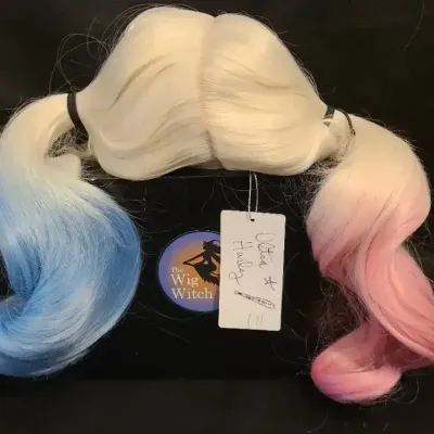 High Quality Harley Quinn Cosplay Wig New In Box 