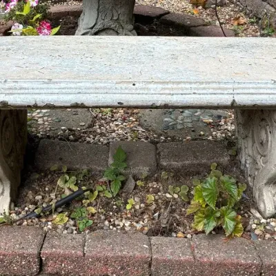 Cement Bench 