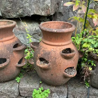 Terra Cotta Strawberry Pots 