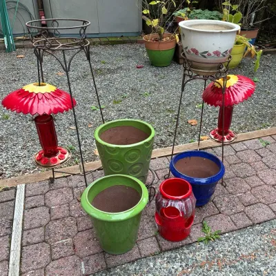 Colorful Plant Pots 
