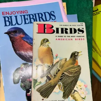 Sale Photo Thumbnail #182