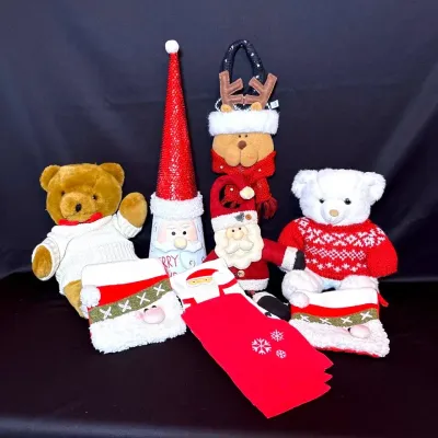 Christmas Holiday Fun!