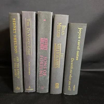 Books-Sons Of Fortune, Da Vinci Code And More 