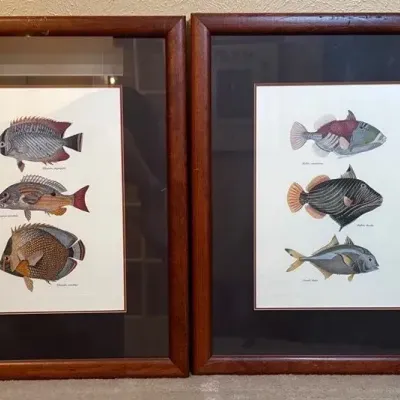 Tropical Fish Framed Art